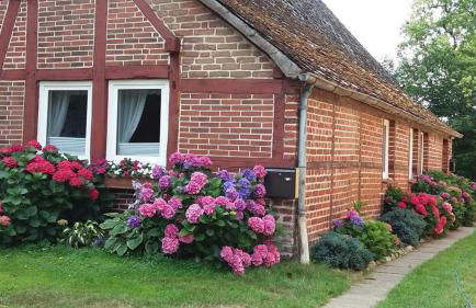 von Wiegen, Ferienwohnungen - Foto 1