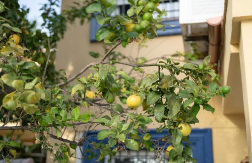 New - MiJa basement Loft Apartment steps from Beach - perfect for Sun and Sport Seekers - Foto 57