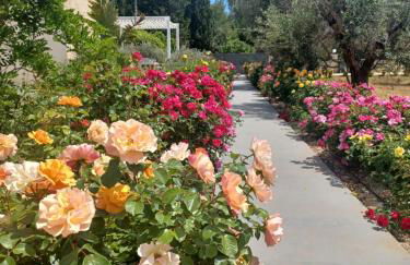 Zeituna Lodge a Porto Cesareo - Foto 1