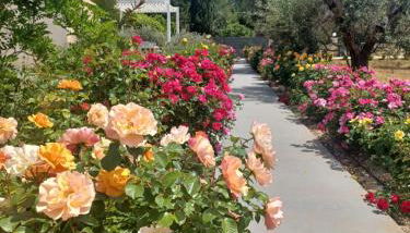 Zeituna Lodge a Porto Cesareo - Foto 1