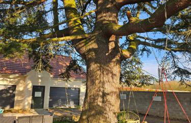 Studios du Cèdre - Foto 26