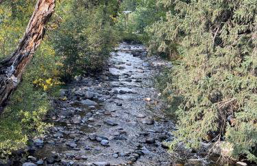 Mammoth Overlook Of Yellowstone - Foto 37