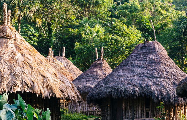 Escursione a Taironaka - Foto 1