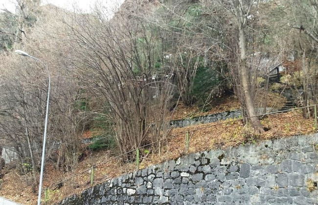 Tree-Tops, Chalet - Foto 19