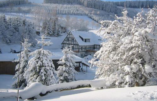 Gasthaus Wollmeiner - Foto 8