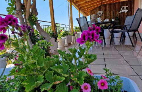 Dennis Seaview - Foto 12