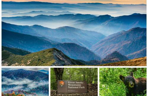 Serenity, A Rustic Log Cabin Retreat - Foto 40