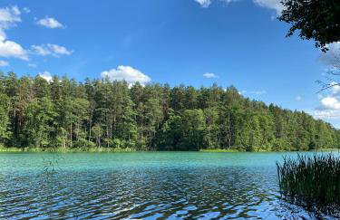 Dom Przy Lesie Zielonowo - Foto 21