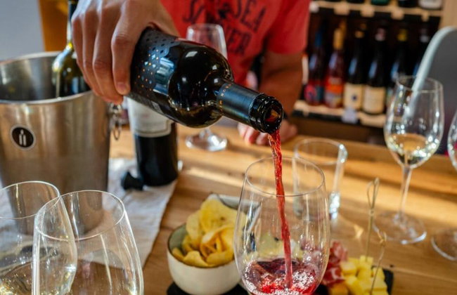 Bulgarian Grape Wine Tasting with Sommelier - Tour - Photo 3