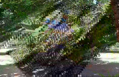 Visita guidata della Guarnigione Militare - Foto 2