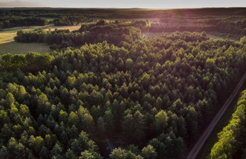 Łosia Chata - Foto 26