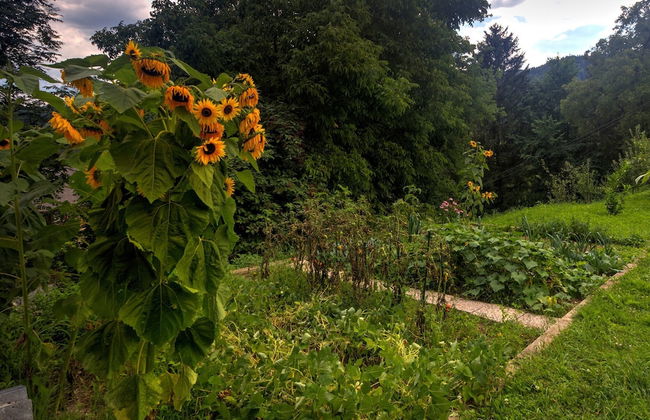 Charming Apartment in Bled Near Lake - Photo 12