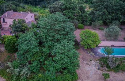 La casa nel bosco - Foto 4