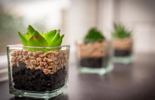 2 Ysgoldy - Photo 15