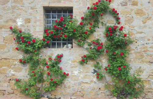 Casa Vacanze "L'Aione" - Foto 43