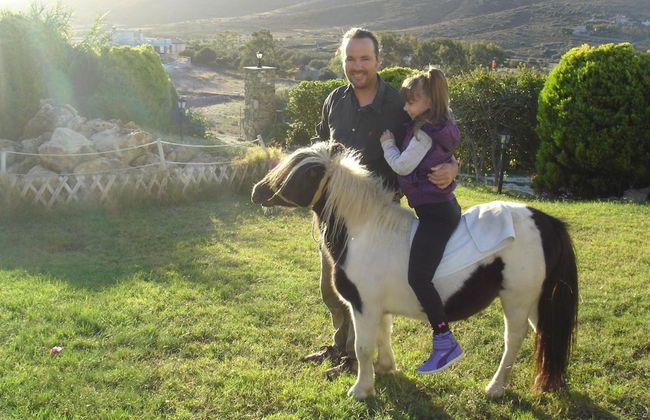 Ktima Nikola - Photo 21