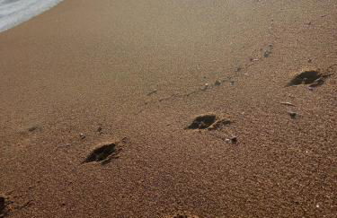 Villa Pool Lake Beache City - Foto 33