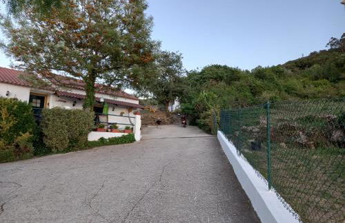 Casinha de férias no campo - Quintinha dos Cavalos - Arruda dos Vinhos - Foto 51