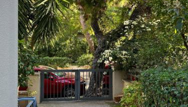 Small Gem Studio Athens, next to metro nomismatokopeio - Foto 5, Garden