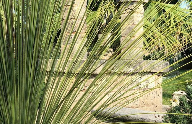 Affittacamere Paduli Piani - Photo 44