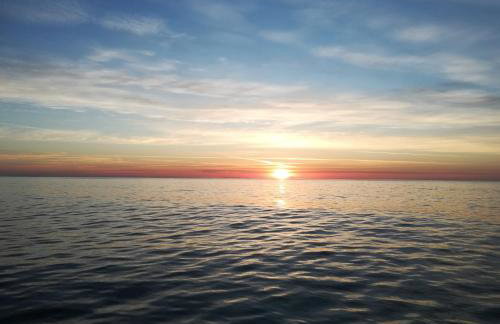 Feel at Home - Photo 37