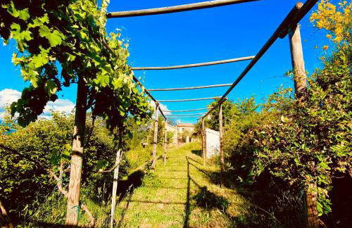 agriturismo borgo del ginepro - Foto 6