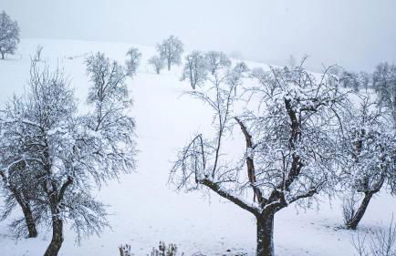 Studio Dinkelberg - Foto 14