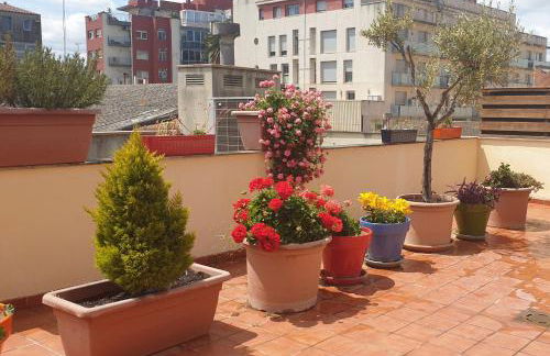 Apartamento Vilallonga - Foto 16