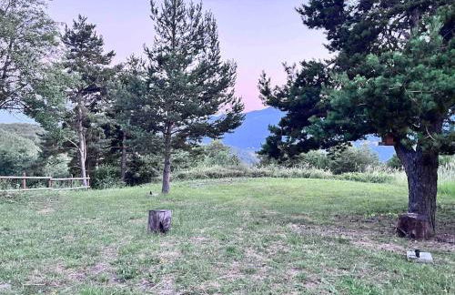 La casa nel bosco - Foto 15