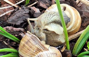 Ferienwohnung Viabella - Foto 13