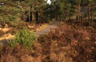 The Pines Self-catering cottage,Wester Ross, Scotland - Foto 15