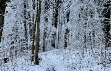 Ferienidyll Aumühle "Muswiese" - Foto 65