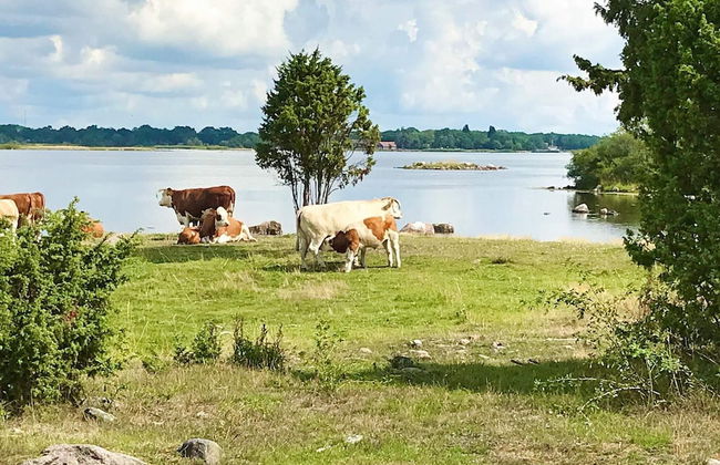 4 Person Holiday Home in Hagby - Foto 3