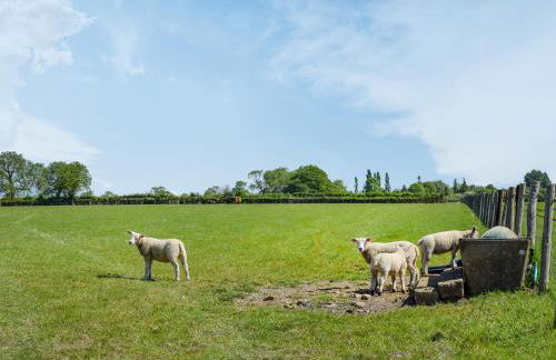 The Cabin - Uk49767 - Photo 15