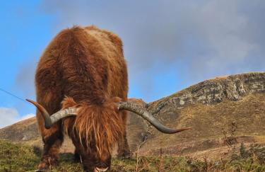 Hillside House - Foto 29