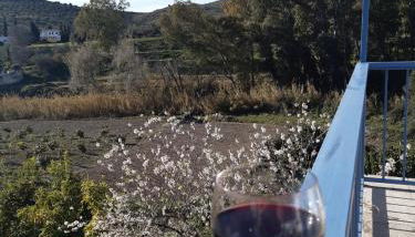 Cortijo el Puente - Photo 4