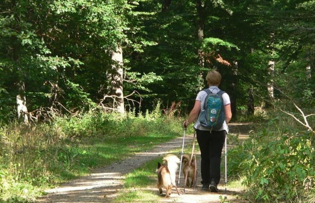 Holiday Home Fairytale hut - Foto 13