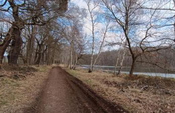 Ferienwohnung Gentsch in Schmannewitz - Foto 74