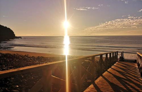 Wild House - Photo 33