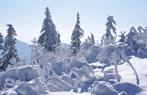 Flucht in Malsburg-Marzell - Foto 30