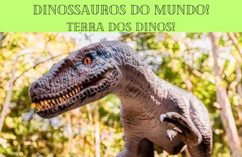 Espaço 579 - Foto 24