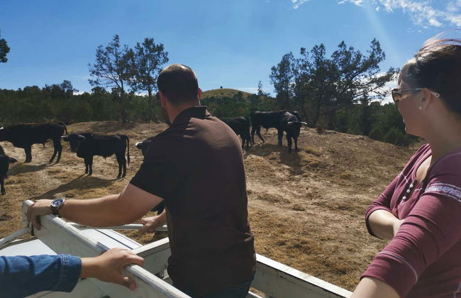 Tlaxcala Haciendas Tour - Photo 7