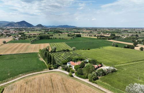 Agriturismo San Bartolomeo - Foto 63