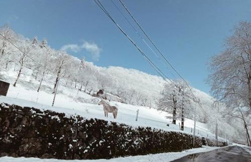 Le Zen Altitude - Foto 10