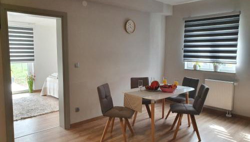 Apartman Fenestra s terasom i pogledom na Gacku - Foto 5