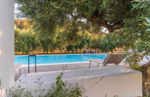 Armandiola - Foto 64