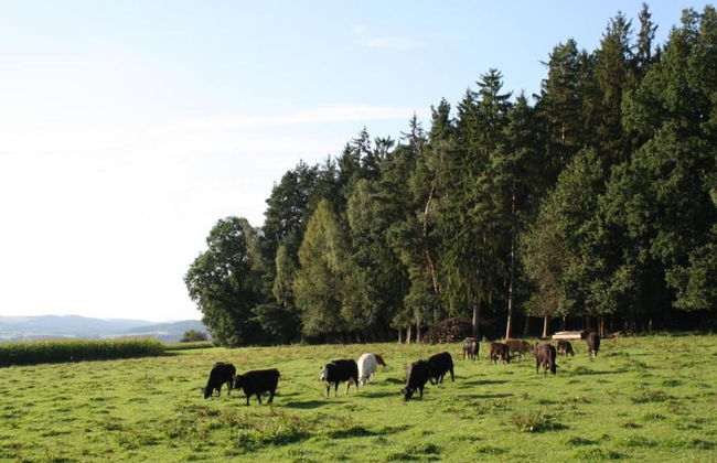 Apartment in Heinrichskirchen - Foto 37