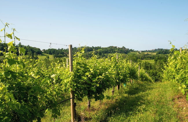 Relais La Dolce Vite - Foto 74