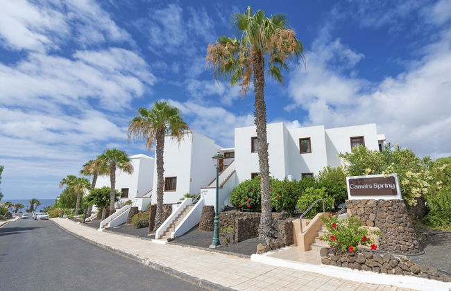 Apartamentos Camels Spring - Foto 44