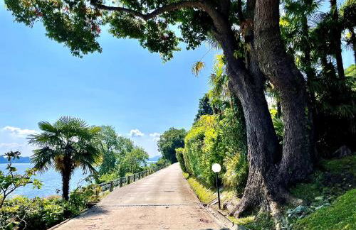 Elegant & Comfortable Modern Home with swimming pool - Foto 26